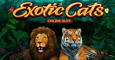 Exotic Cats Slot