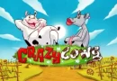 Slot Crazy Cows