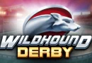 Slot Wildhound Derby